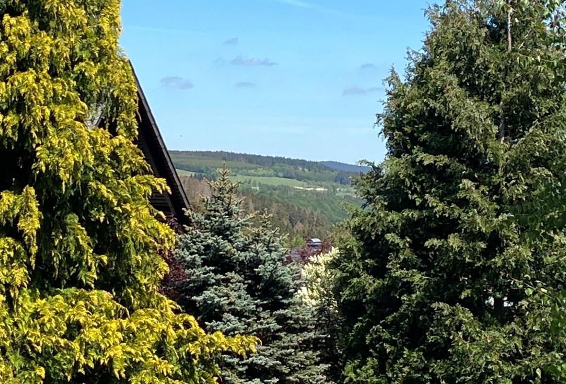 Ferienwohnung Kleine Auszeit Winterberg Fuer 2- 4 Personen Екстериор снимка